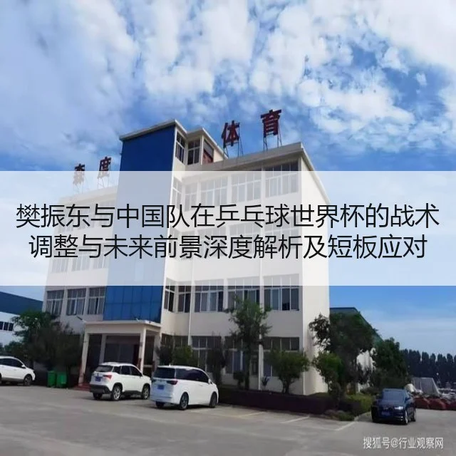 樊振东与中国队在乒乓球世界杯的战术调整与未来前景深度解析及短板应对